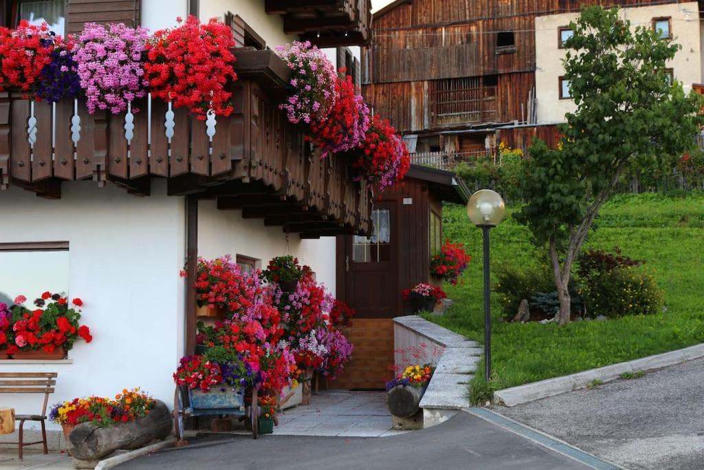 Piccola Suite Sul Civetta Colle Santa Lucia Dış mekan fotoğraf